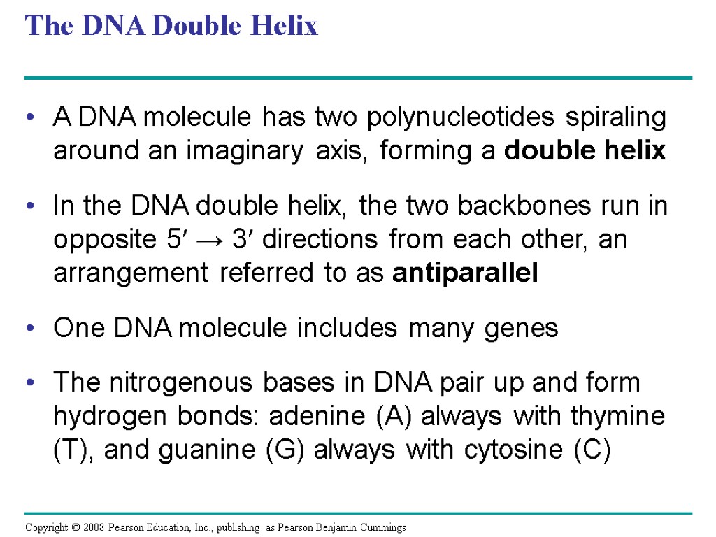 The DNA Double Helix A DNA molecule has two polynucleotides spiraling around an imaginary